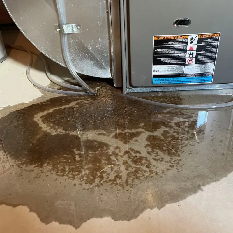 Pipe Burst and Leak Restoration in Lafayette County, AR
