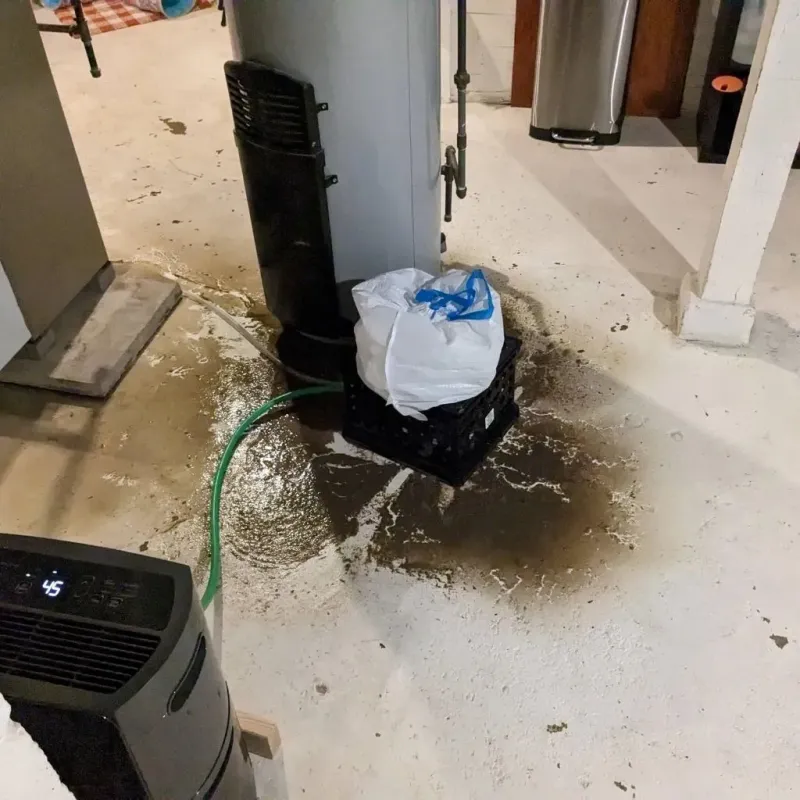 Sewage Backup Cleanup Service in Lafayette County, AR